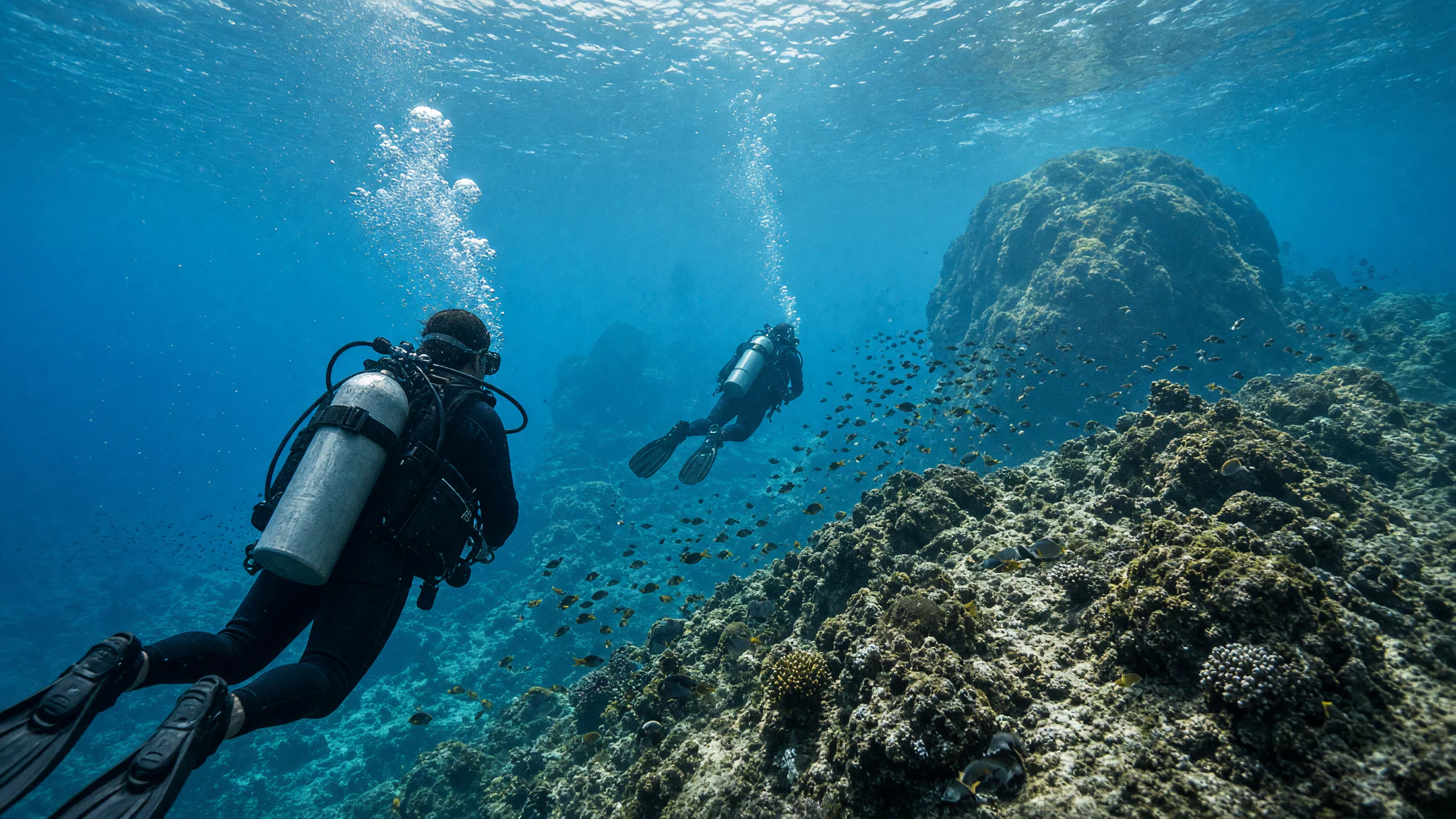 Scuba Dive Costa Rica, Tours & Activities in Playa Flamingo