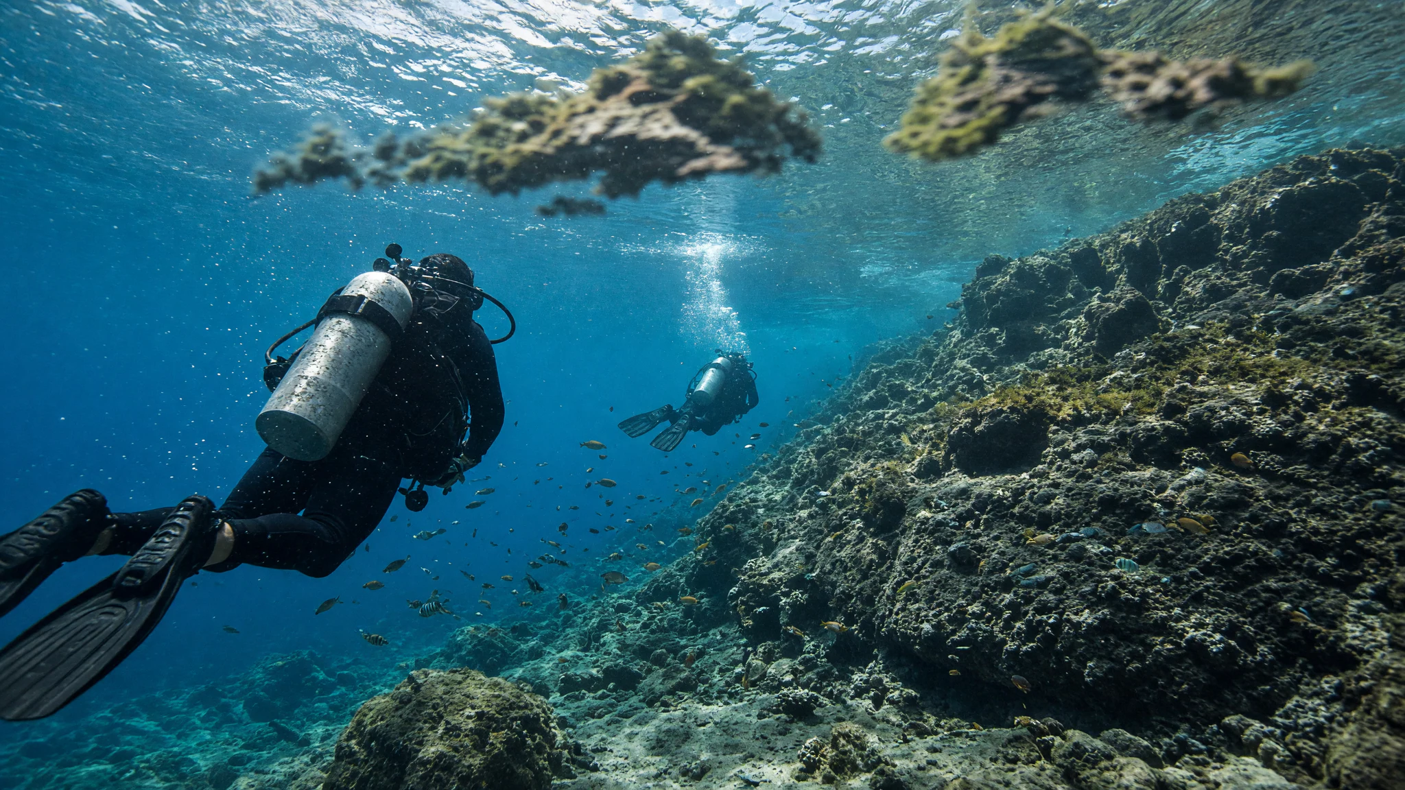 Scuba Dive Costa Rica - Potrero & Flamingo, Tourism Service in Brasilito